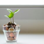 How to Escape the Rat Race and Build True Financial Freedom
