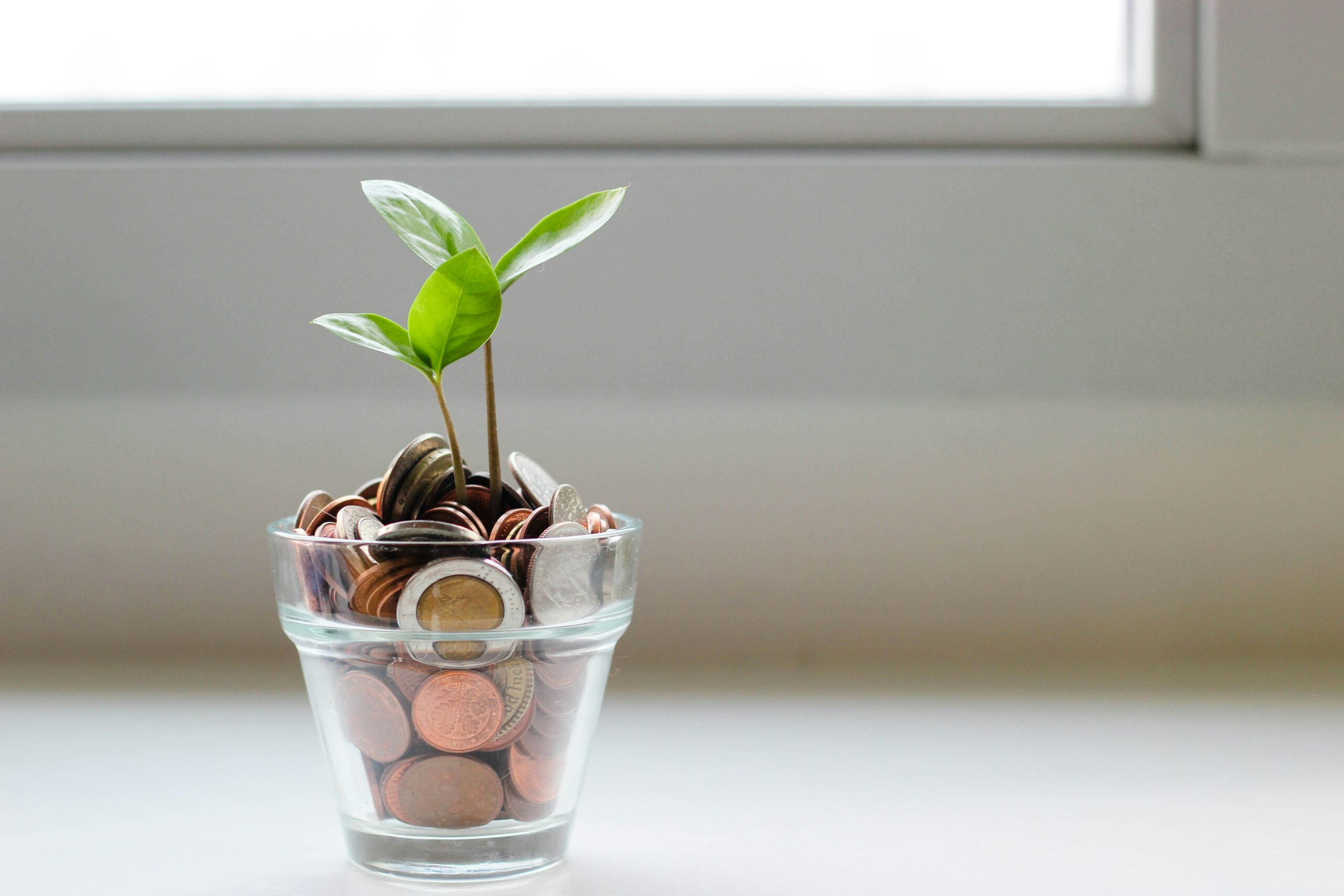 7 High-Impact Ways to Save Money Fast